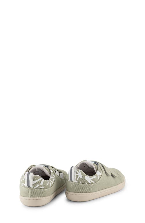 Hopfrög Kids Kids' Smart Walker Barefoot Sneaker In Eco Nile Green