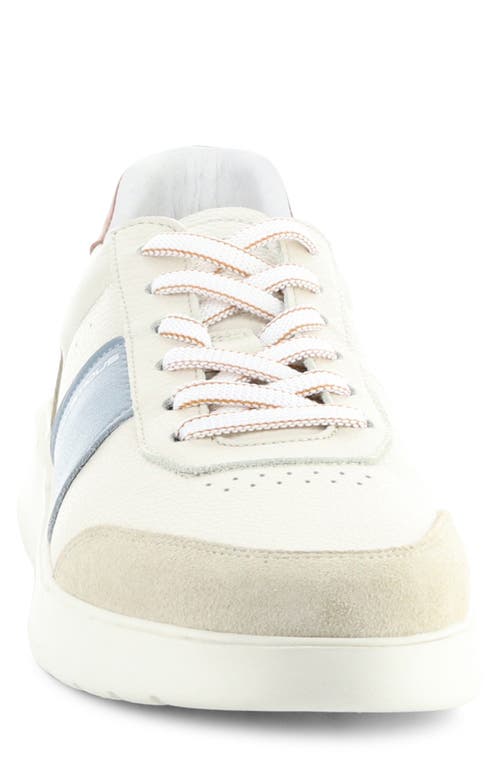AMBITIOUS AMBITIOUS 12863 LOW TOP SNEAKER