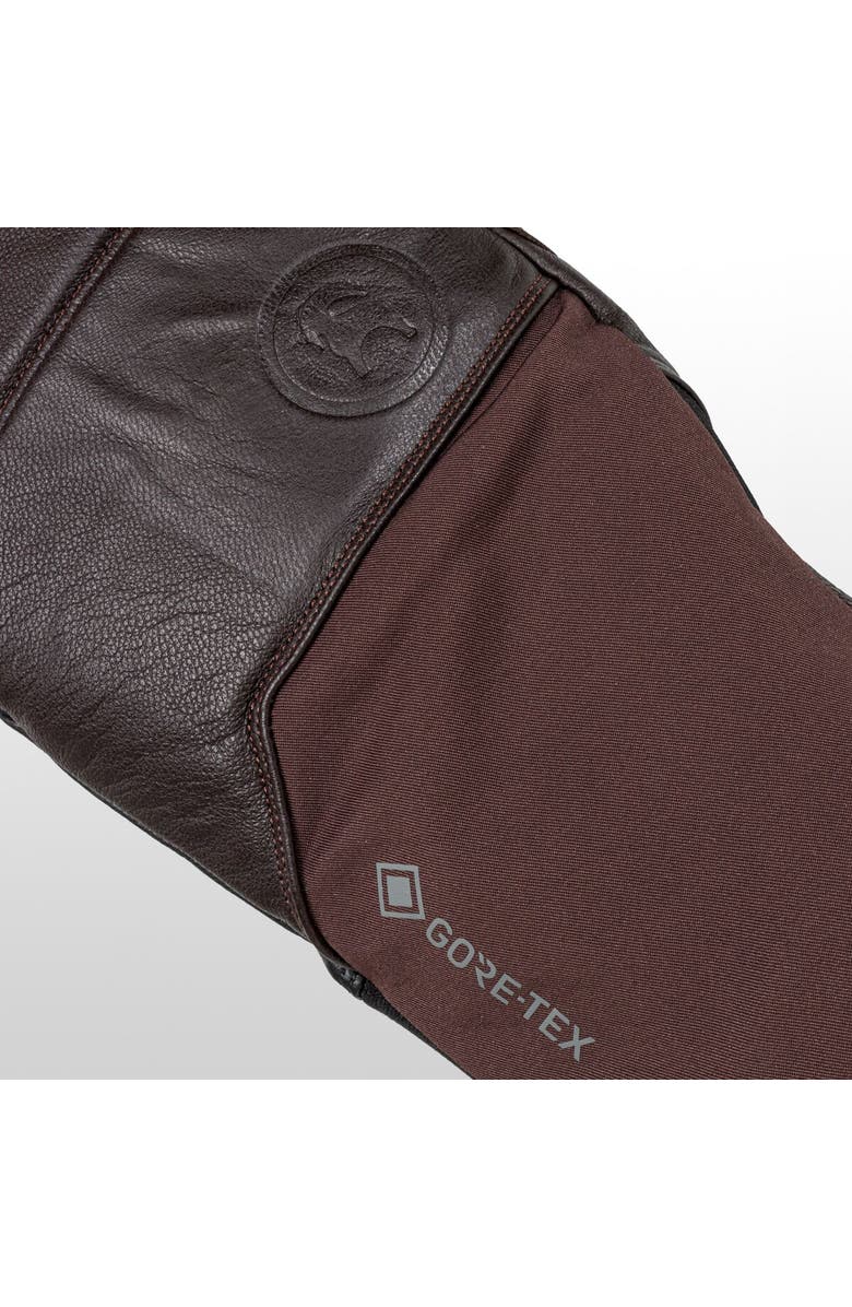 Backcountry GORE-TEX Snow Mitten, Alternate, color, Black