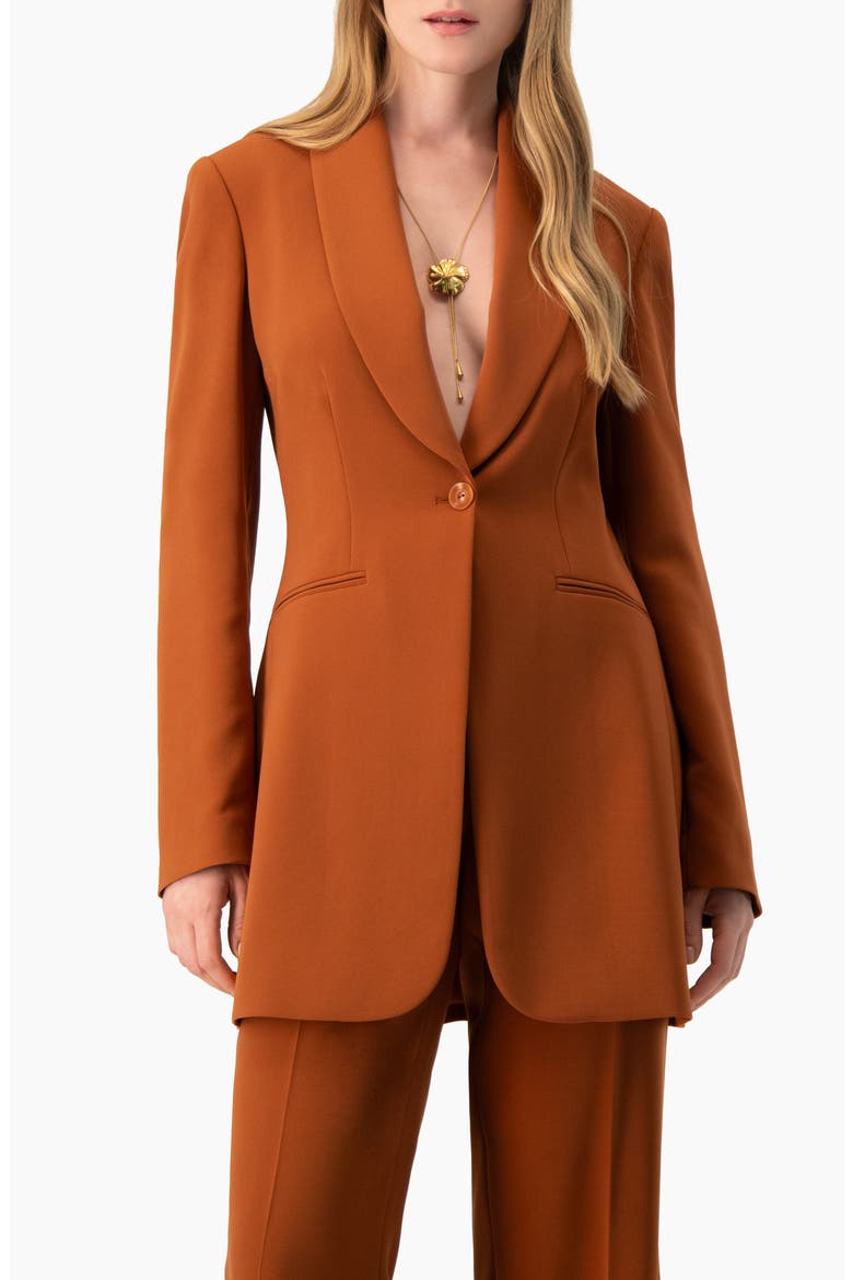 Single-Button Blazer with Tuxedo Lapel, Main, color, Chedron