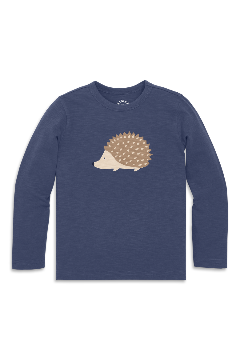 Long Sleeve Hedgehog Tee, Main, color, Sunwashed Navy Hedgehog