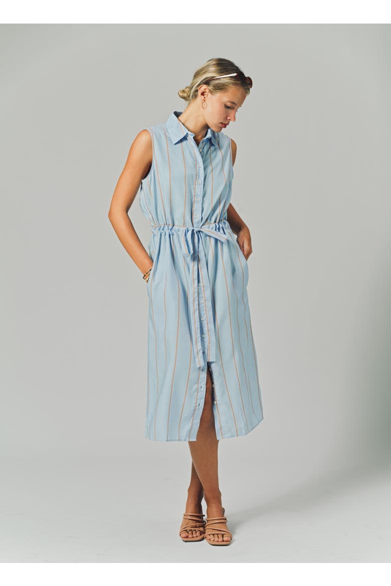 The Sleeveless Midi Dress, Alternate, color, Light Blue/Taupe