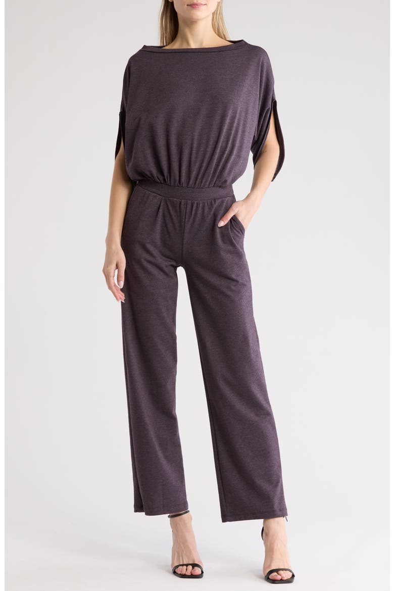 Raglan Sleeve Jumpsuit, Main, color, EGGPLANT
