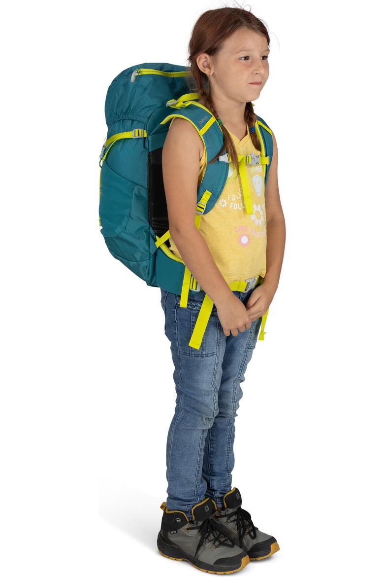 osprey backpack jet 18 KIDS PACK What Our Gearhead Experts Are Saying JET 18 KIDS PACK