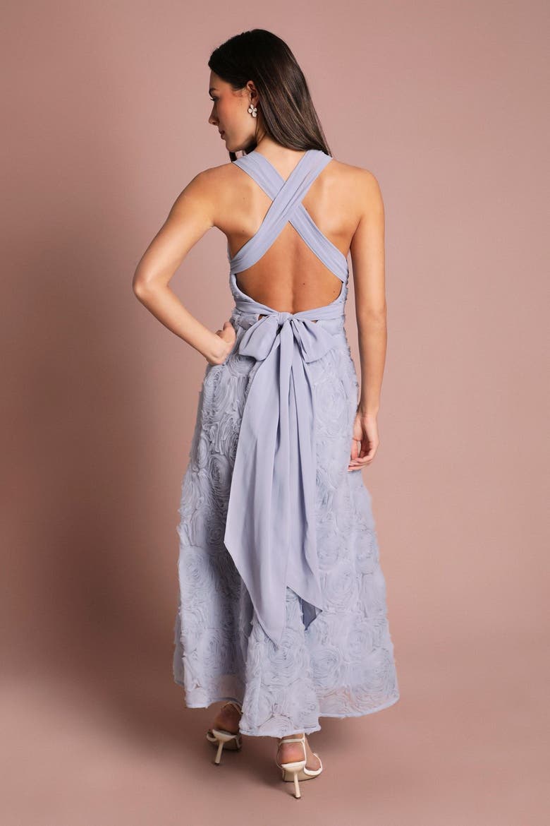 Embroidered Tie Back Maxi Dress, Alternate, color, Pale Blue