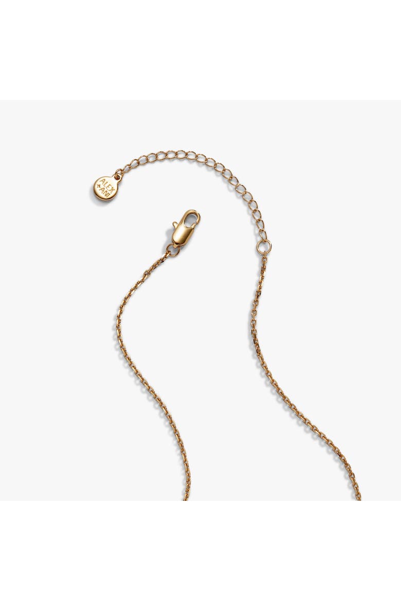 Caramel Apple Dip Slider Necklace, Alternate, color, Gold