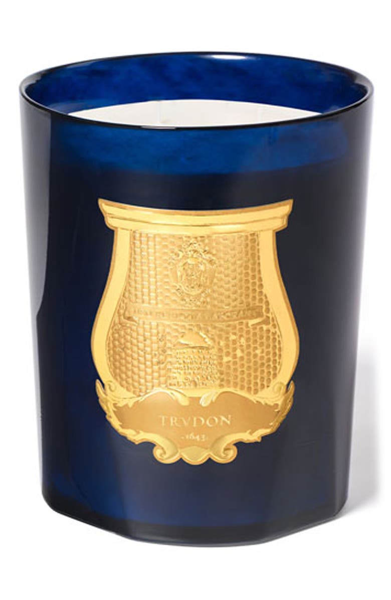 Trudon Reggio Calabrian Citrus Candle, Main, color,