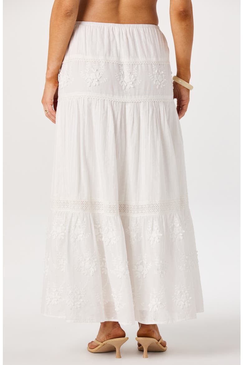 Gwyn Embroidered Maxi Skirt, Alternate, color, WHITE