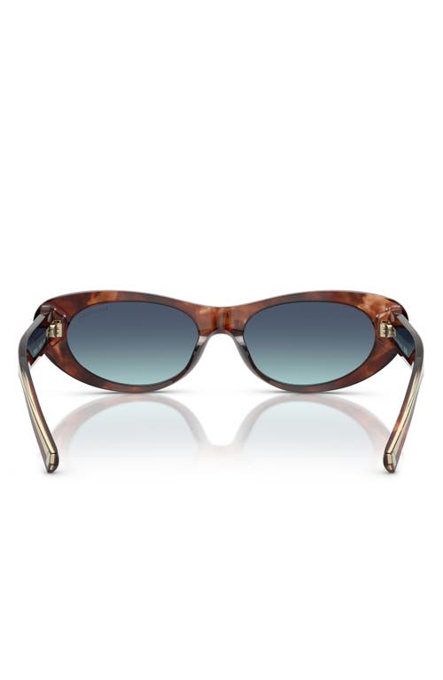 Tiffany & Co . 55mm Oval Sunglasses In Brown
