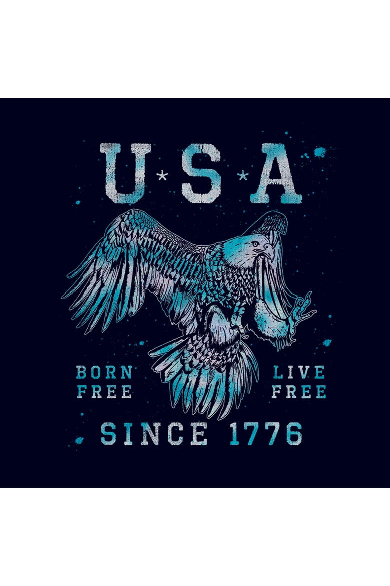 Juniors Lost Gods USA Born and Live Free T Shirt, Alternate, color, Navy Blue