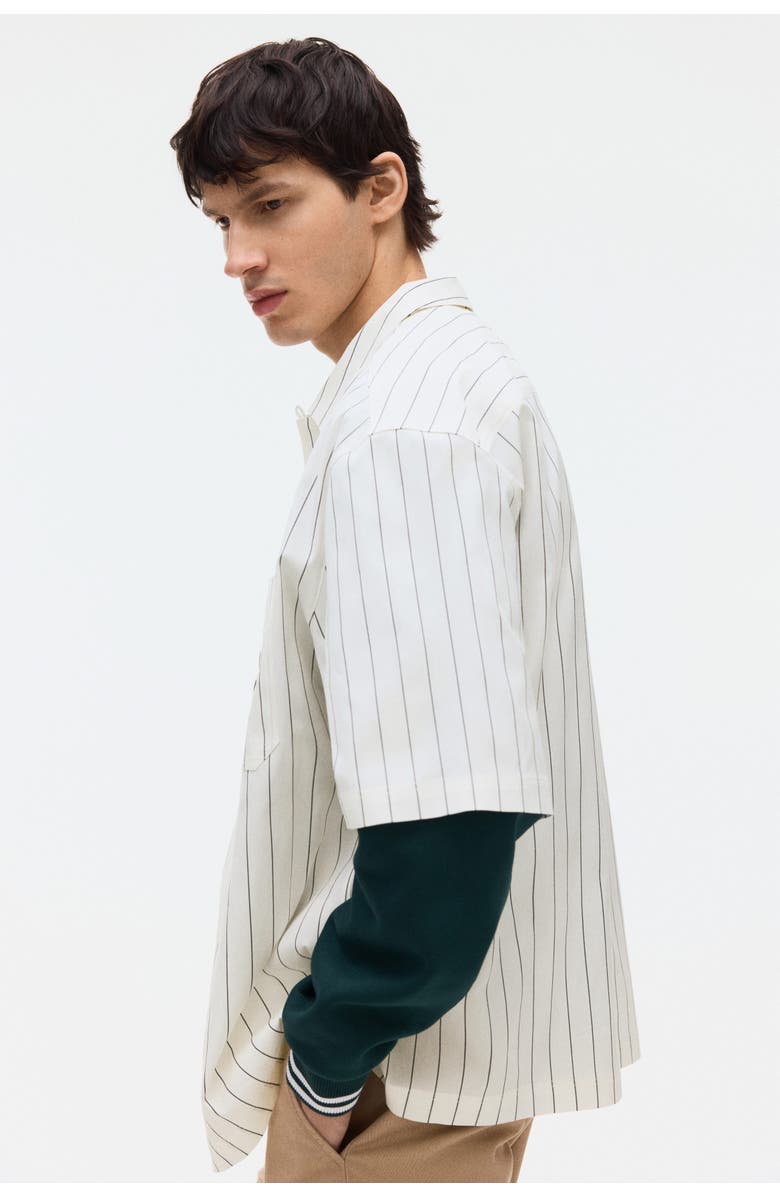 H&M Regular Fit Embroidered-motif Shirt, Alternate, color, White/Striped