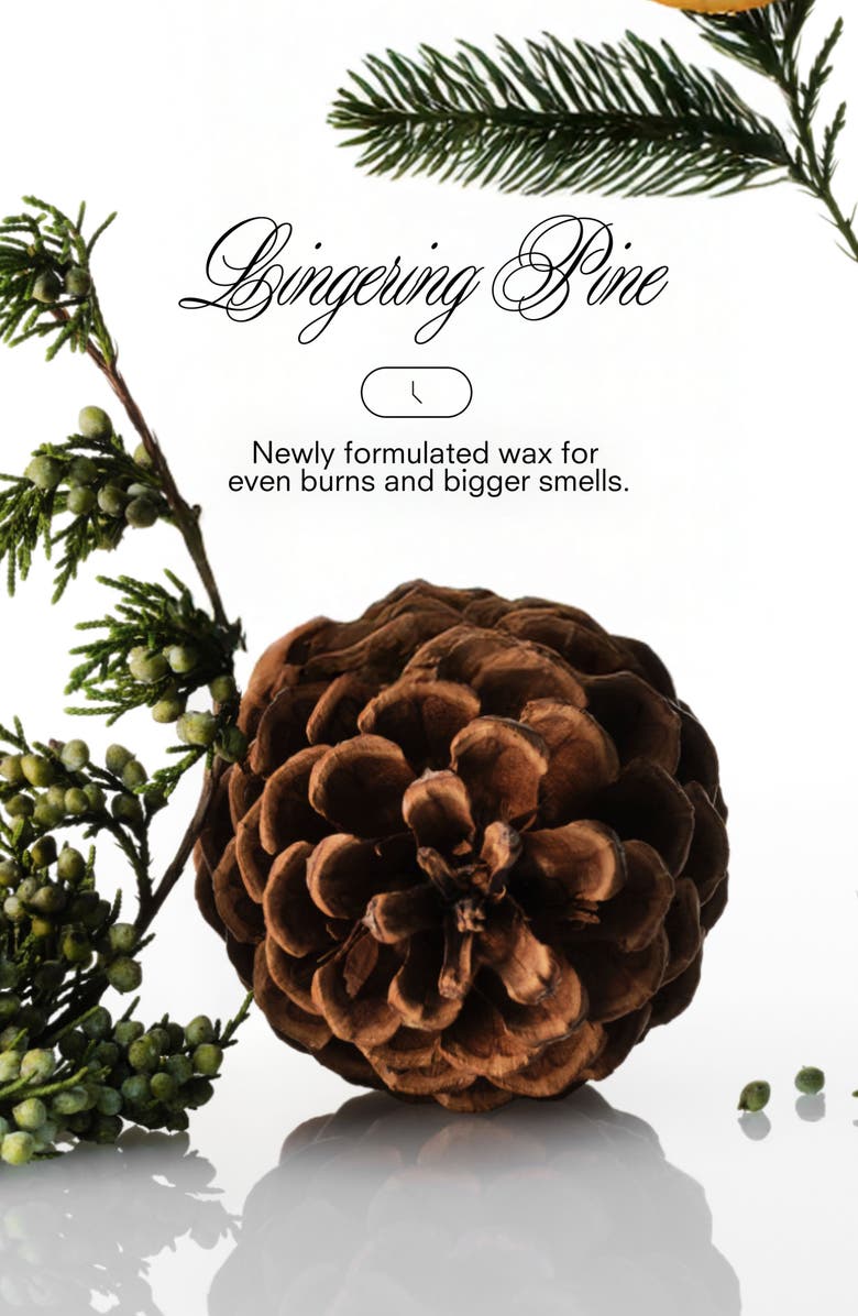 Boy Smells Christmas Tree Candle, Alternate, color, 