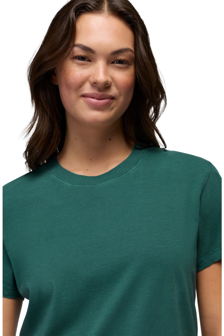 Everyday T-Shirt, Alternate, color, COAST