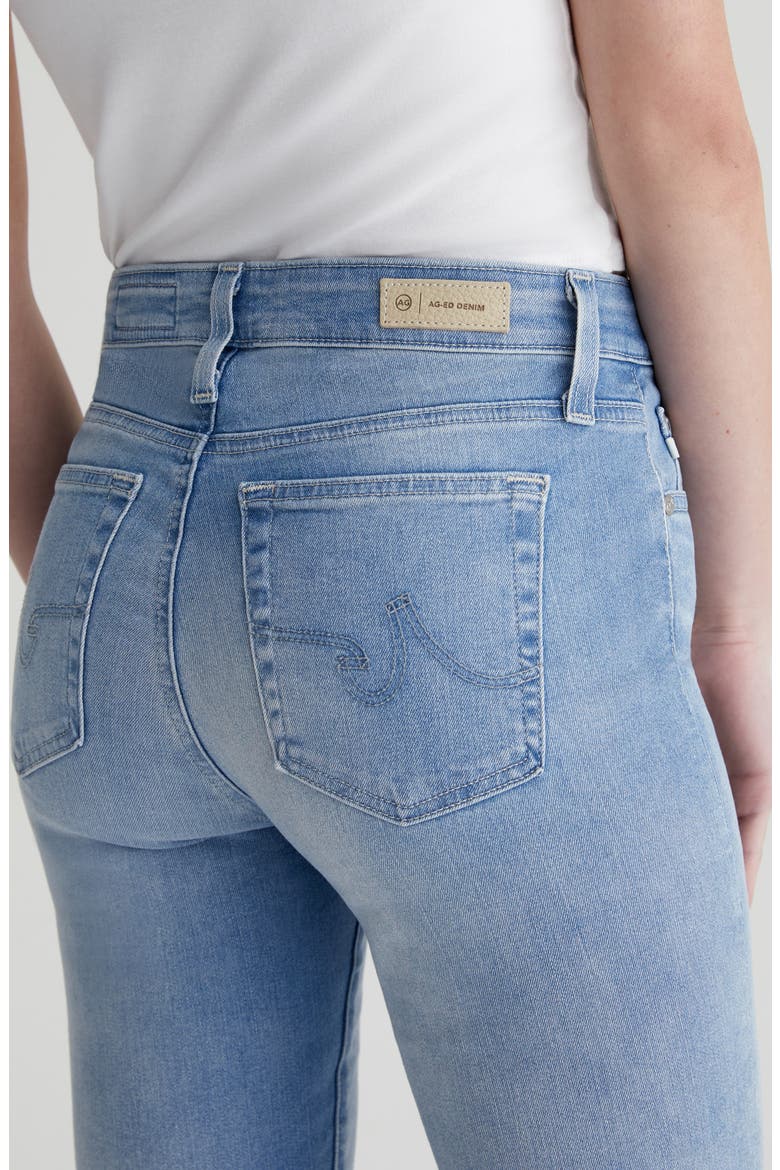 Mari Raw Hem High Waist Crop Straight Leg Jeans, Alternate, color, 24 YEARS LOOKING GLASS