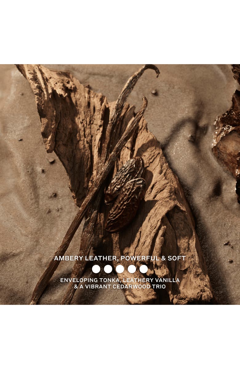 Burberry Hero Elixir de Parfum, Alternate, color, 