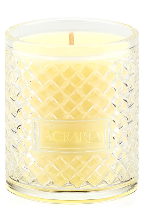 Agraria San Francisco Perfume Candle In White