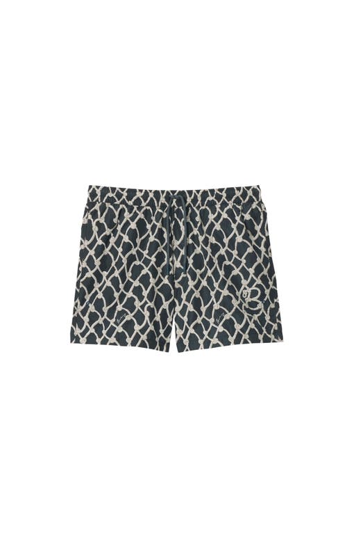 Burberry Nautical Knot-print Swim Shorts In Magnet