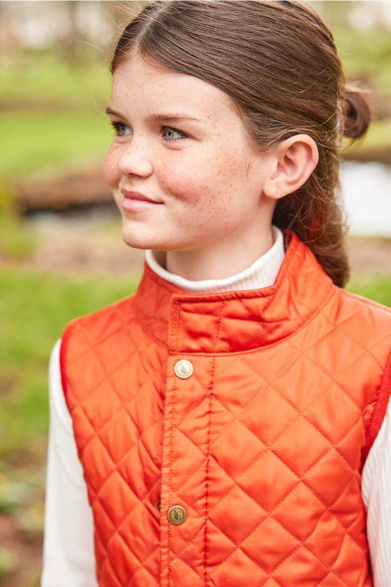 Kids' Classic Quilted Vest, Alternate, color, Orange