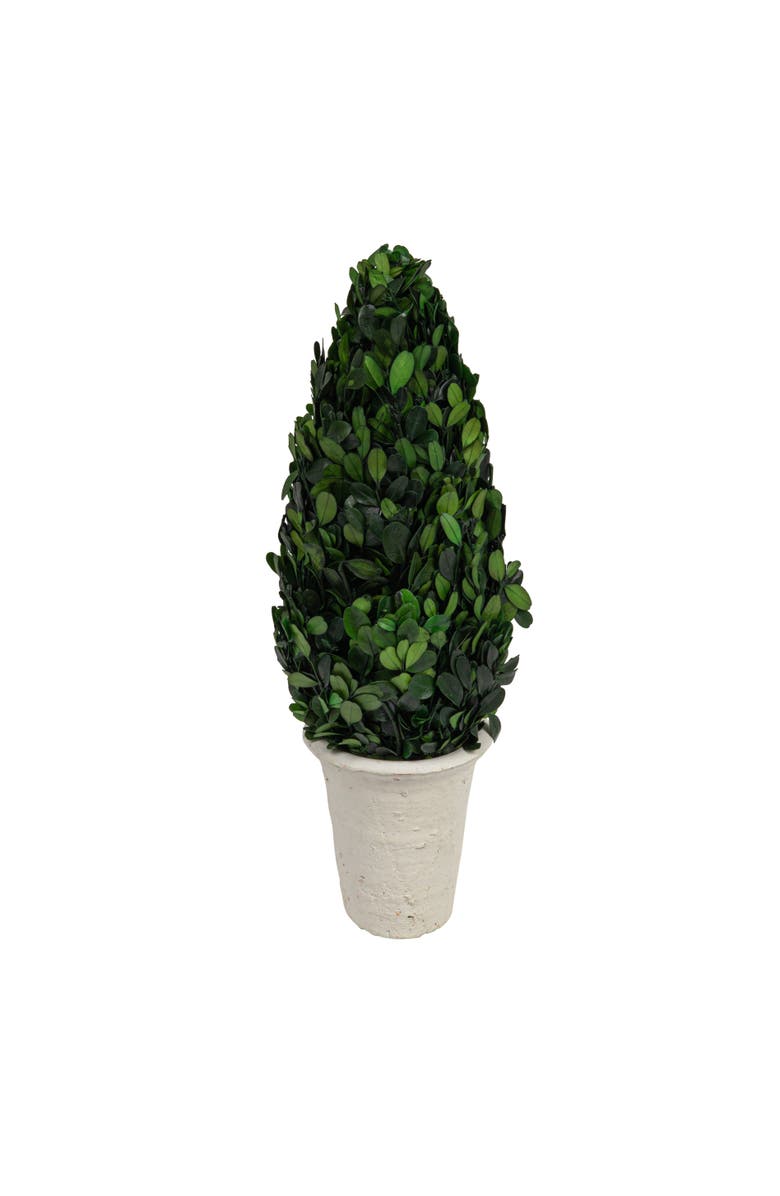 Storied Home 17" Preserved Boxwood Cone Topiary in Clay Pot, Main, color, Green