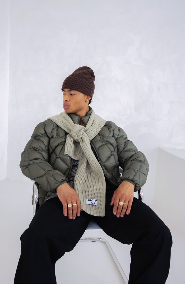 Arctic Fox & Co The Recycled Bottle Scarf, Alternate, color, Arctic Grey