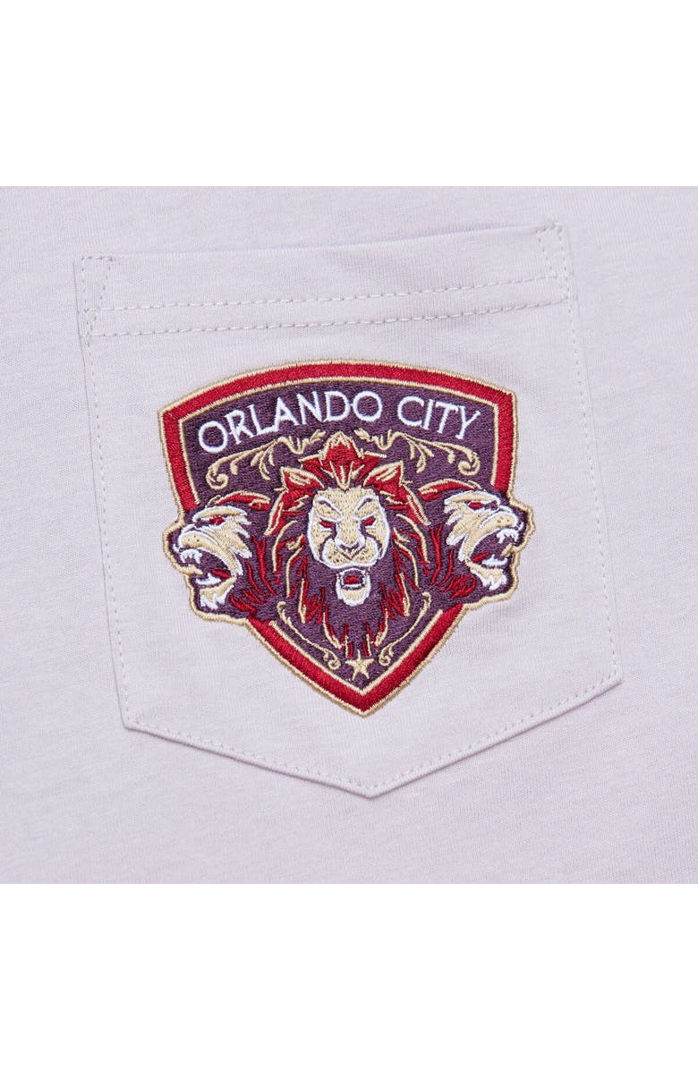 Mitchell & Ness Men's Mitchell & Ness Purple Orlando City SC 10th Anniversary Premium Pocket T-Shirt, Alternate, color, Purple