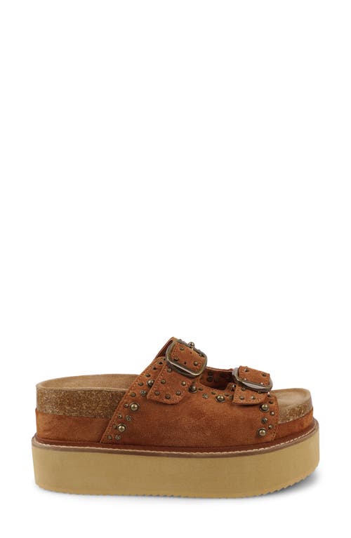 Zigi Studded Platform Sandal In Brown