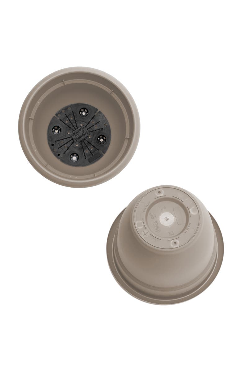 Bloem Dice pack (KS)-FR/EN, Alternate, color, Beige