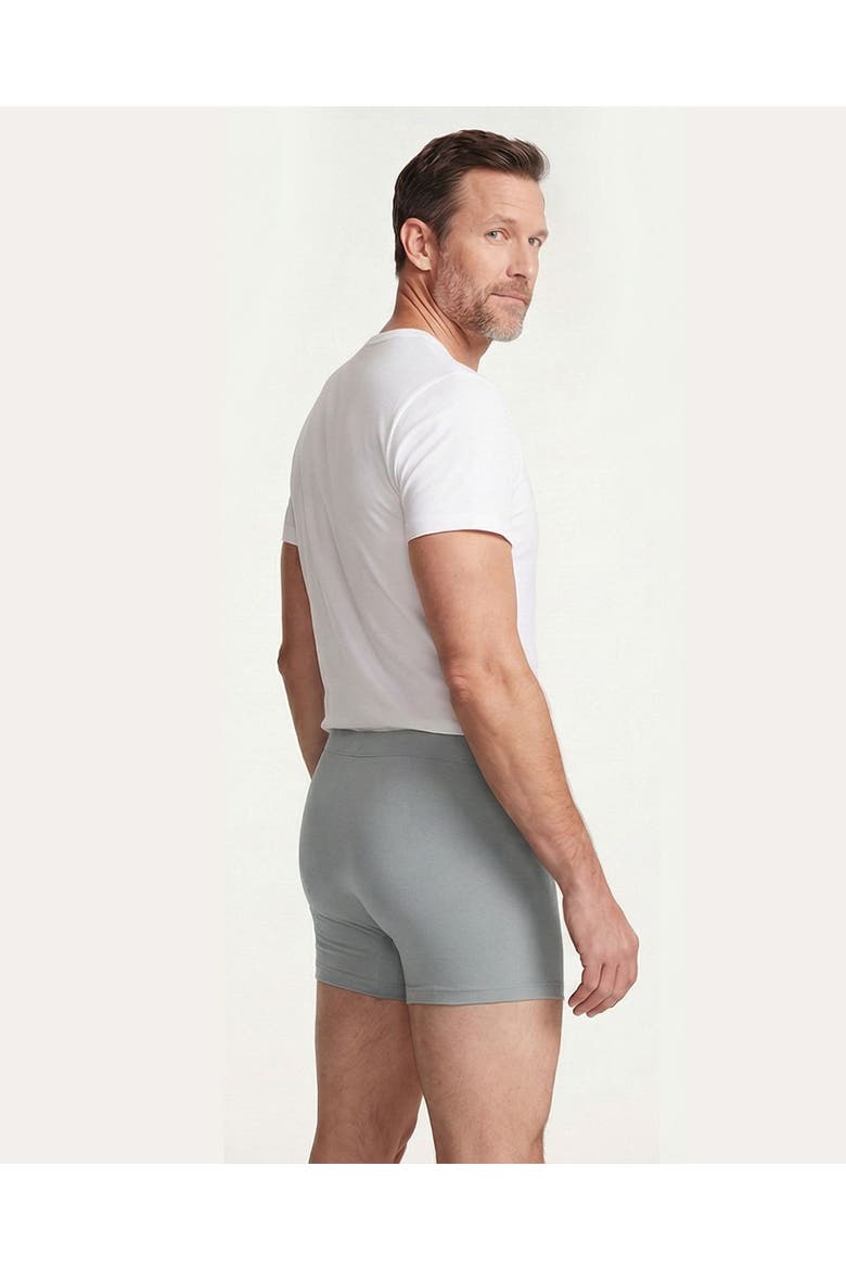 Mens Soft 100% Organic Cotton Boxer Briefs, Alternate, color, Road