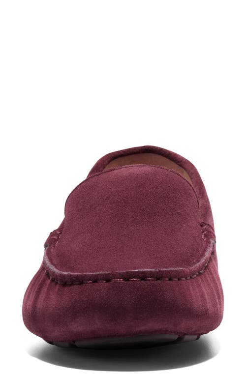 Cole Haan Emmie Driving Loafer In Animal Print