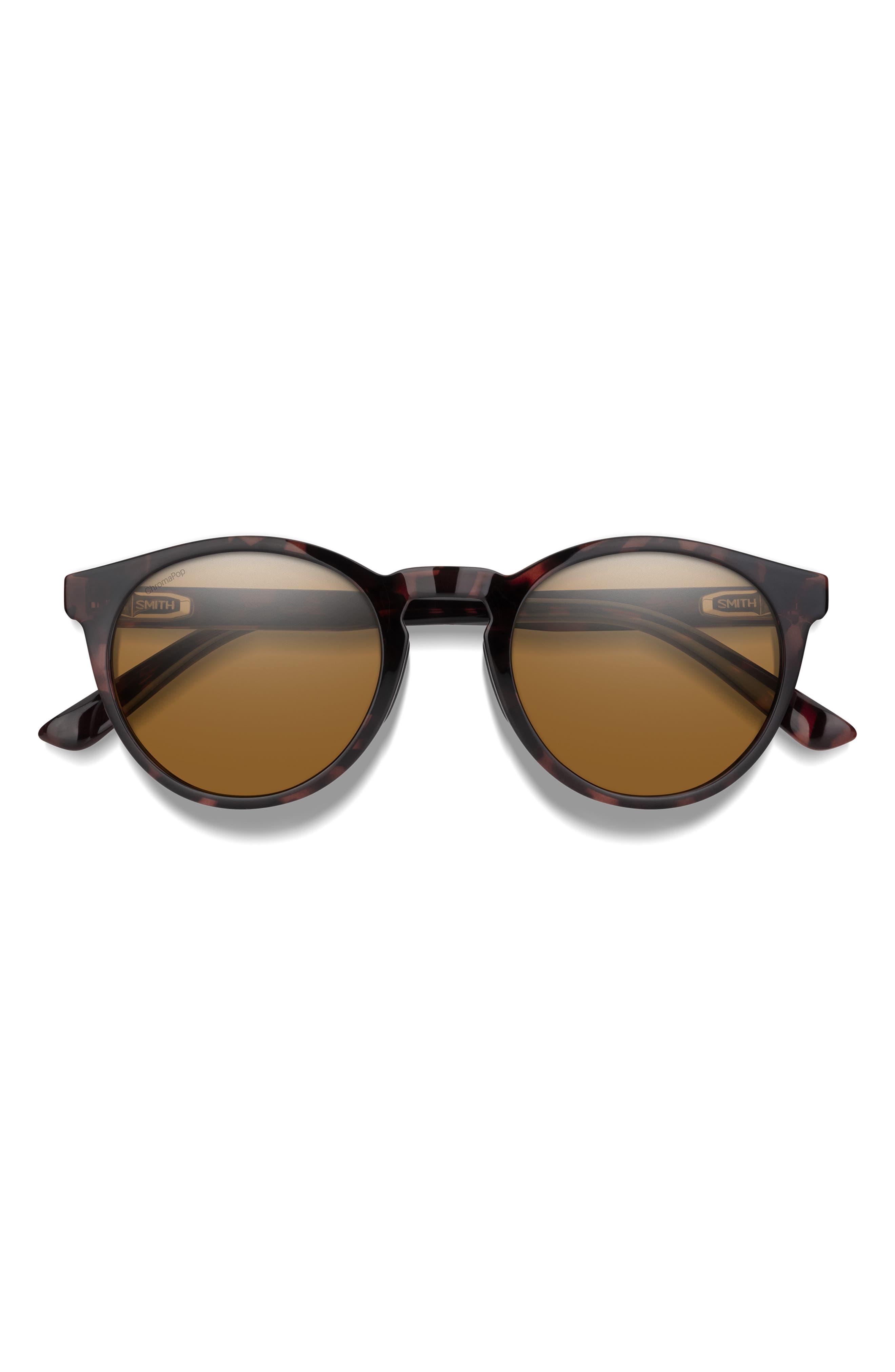TORTOISE / BROWN