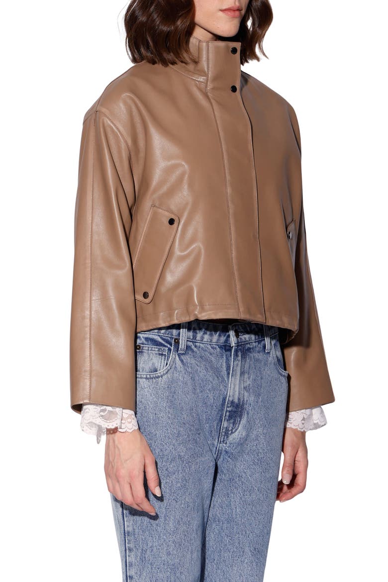 Roman Leather Jacket, Alternate, color, MOUSSE
