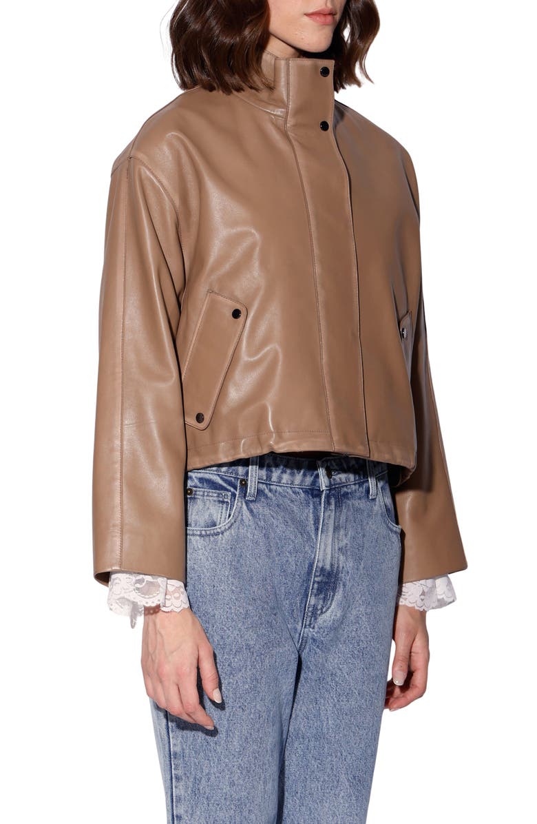Walter Baker Roman Leather Jacket, Alternate, color, Mousse