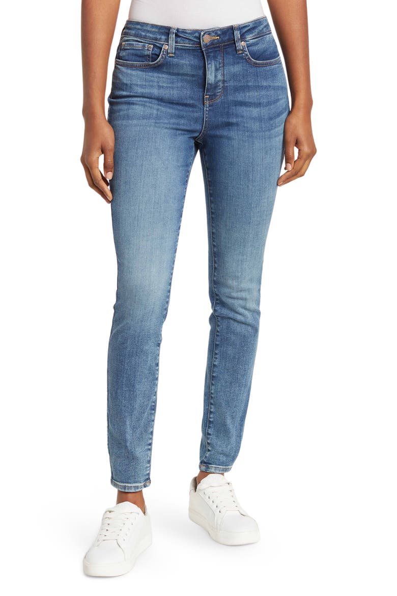 Ami Skinny Jeans, Main, color, CLAYBURN