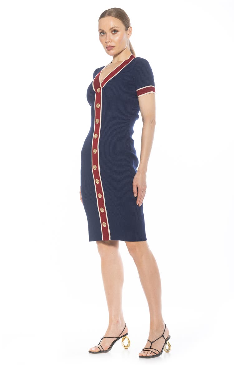 Otto V-neck Short Sleeve Ribbed Sweater Dress, Alternate, color, NAVY