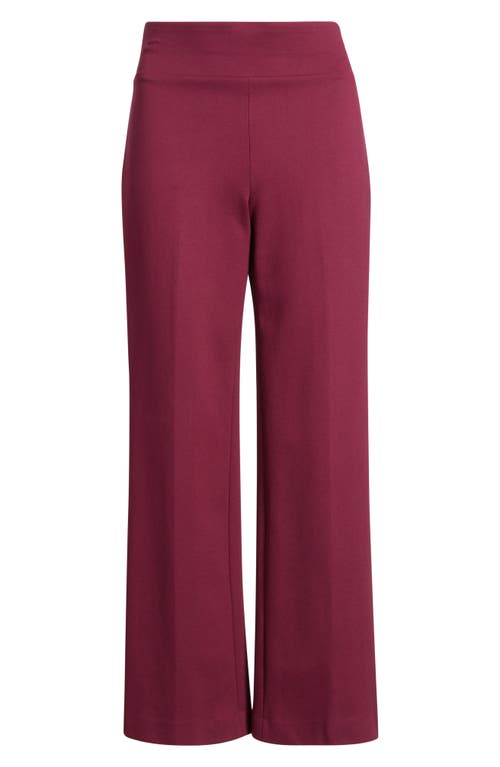 Anne Klein Womens Solid Wide Leg Pull On Compression Pants P Xxs Xxl In Burgundy