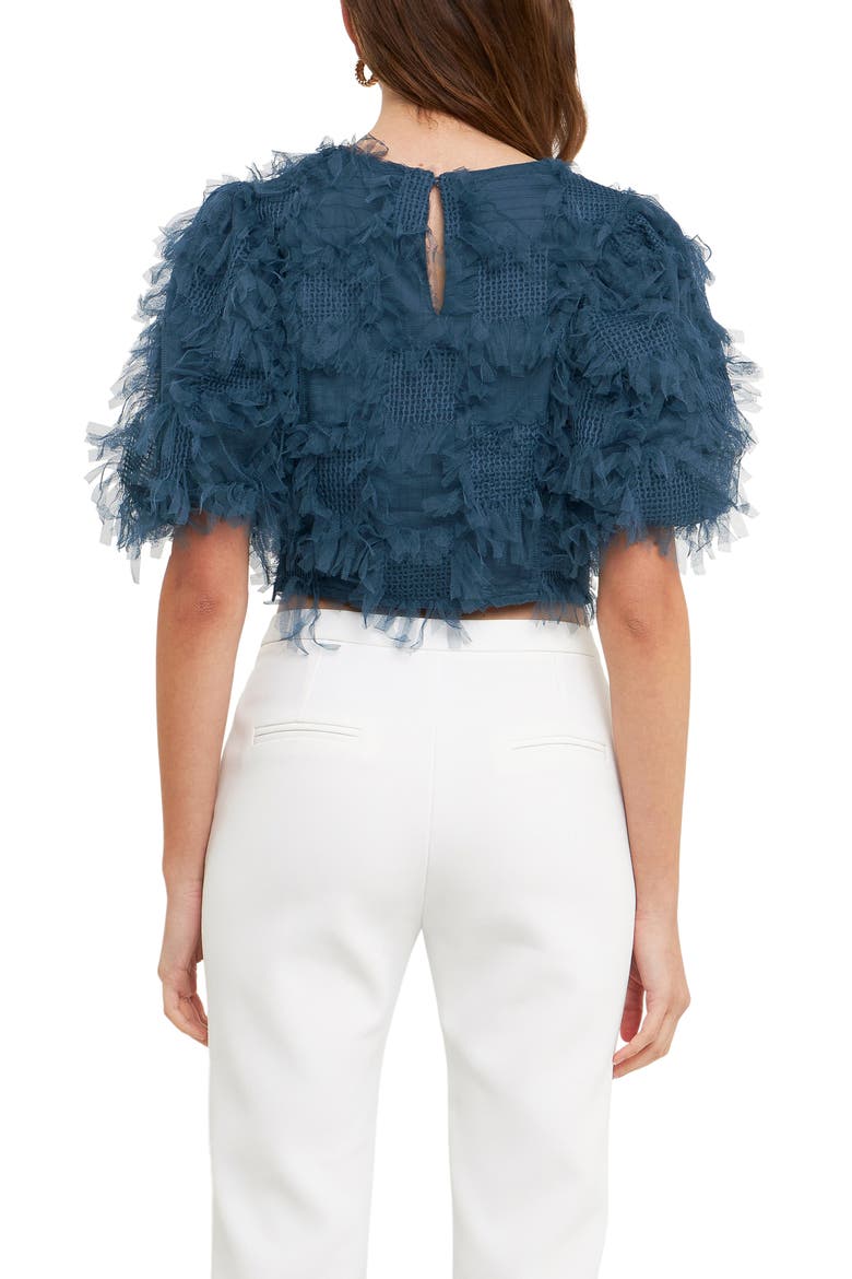 Gridded Tulle Crop Top, Alternate, color, NAVY