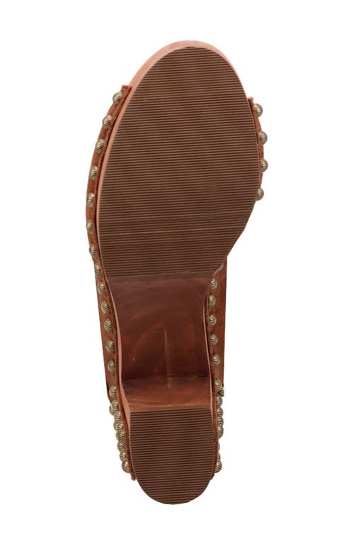 Dingo Echo Clog