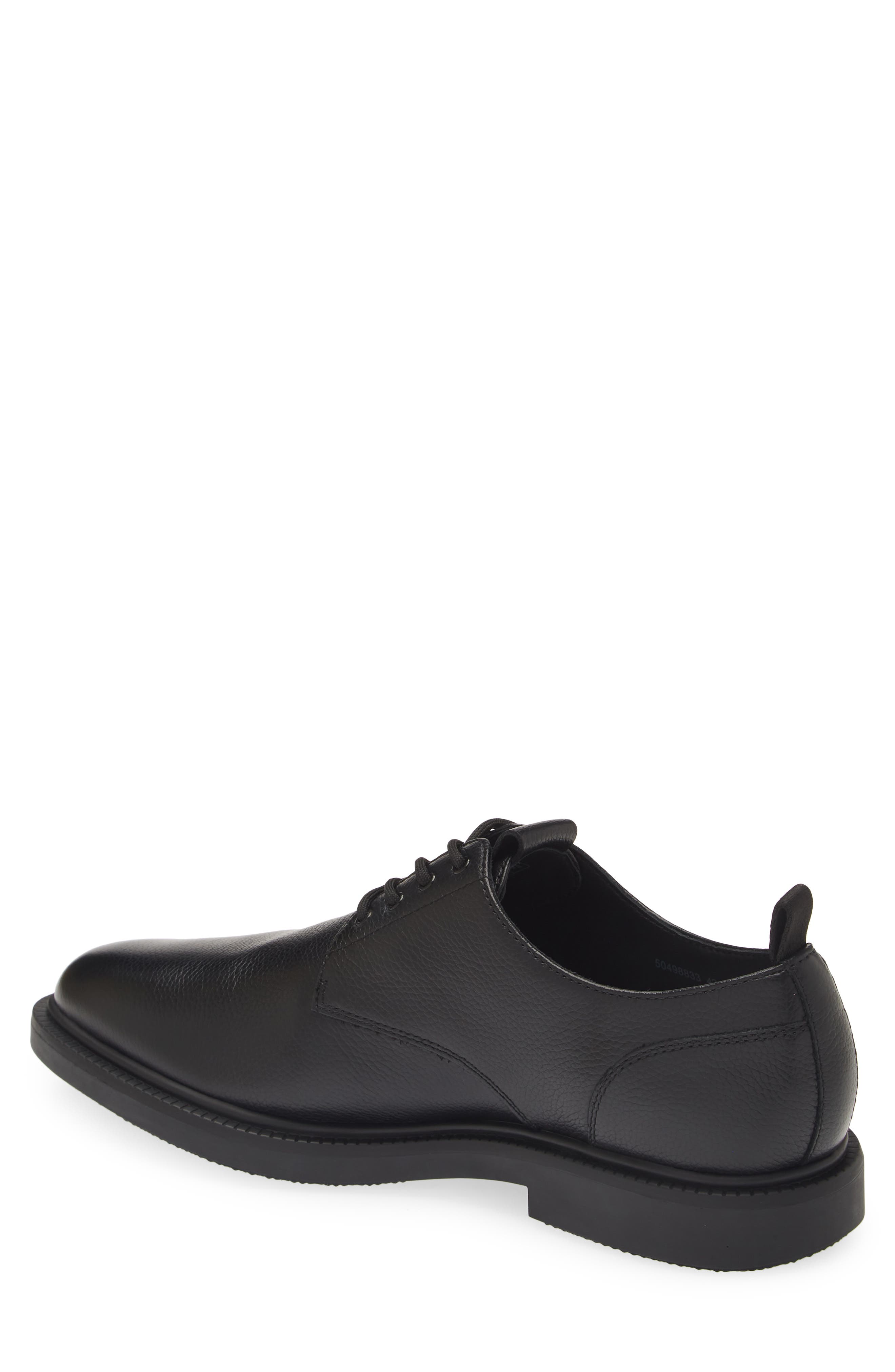 BOSS Larry Pebbled Derby, Alternate, color, 