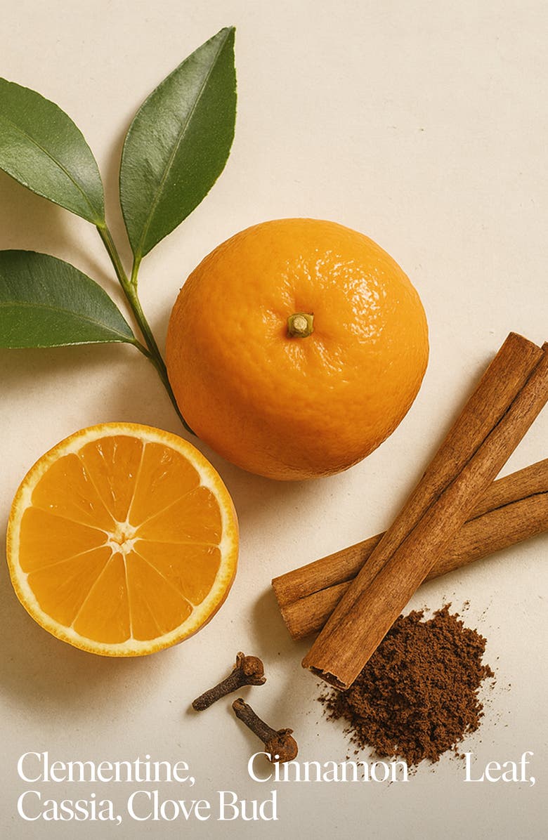 SIBLINGS Winter Clean Candle Starter Set, Alternate, color, White