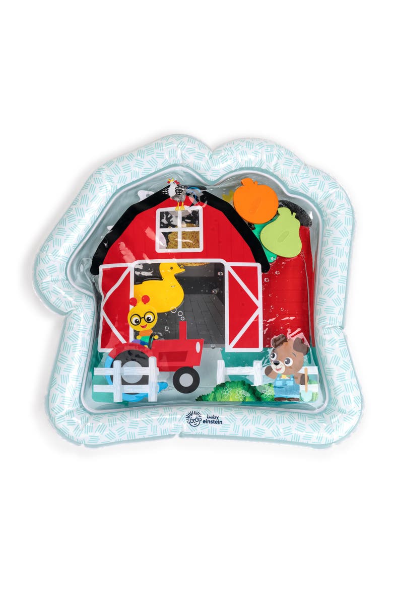 Farm Explorers Cal's Sensory Barn Water Mat, Main, color, Blue