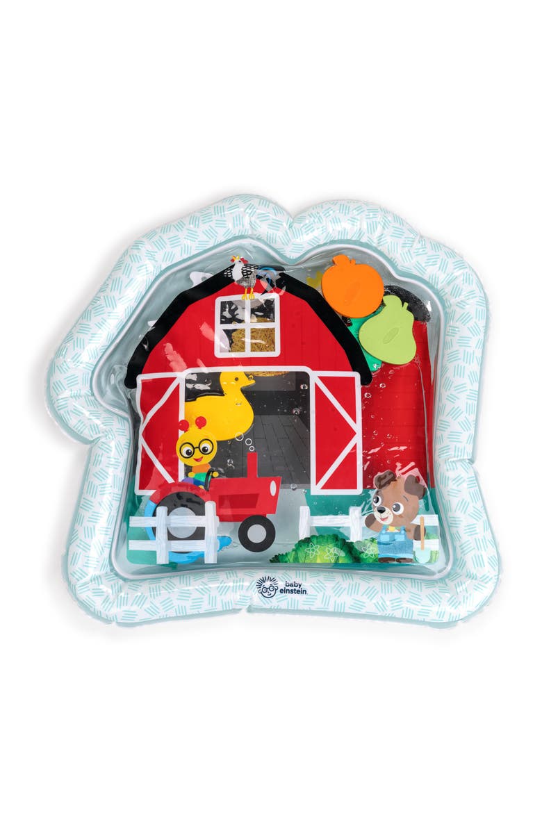 Baby Einstein Farm Explorers Cal's Sensory Barn Water Mat, Main, color, Blue