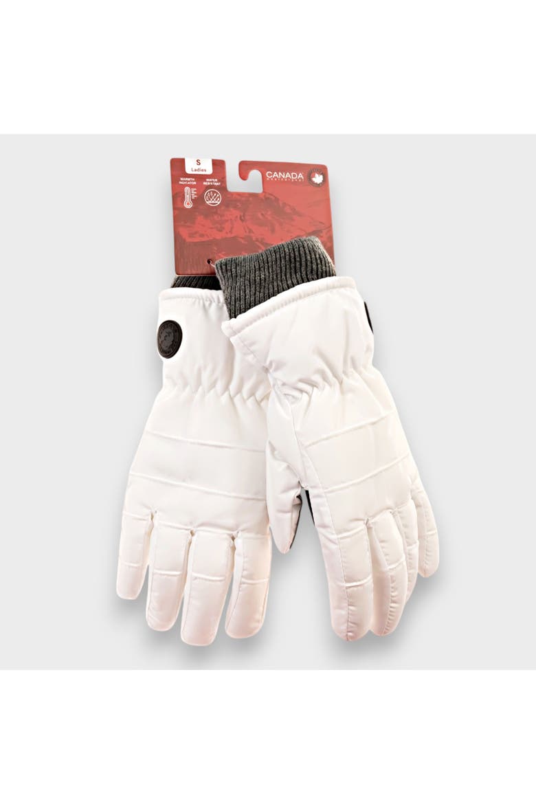 Women's Winter Ski Gloves, Alternate, color, White