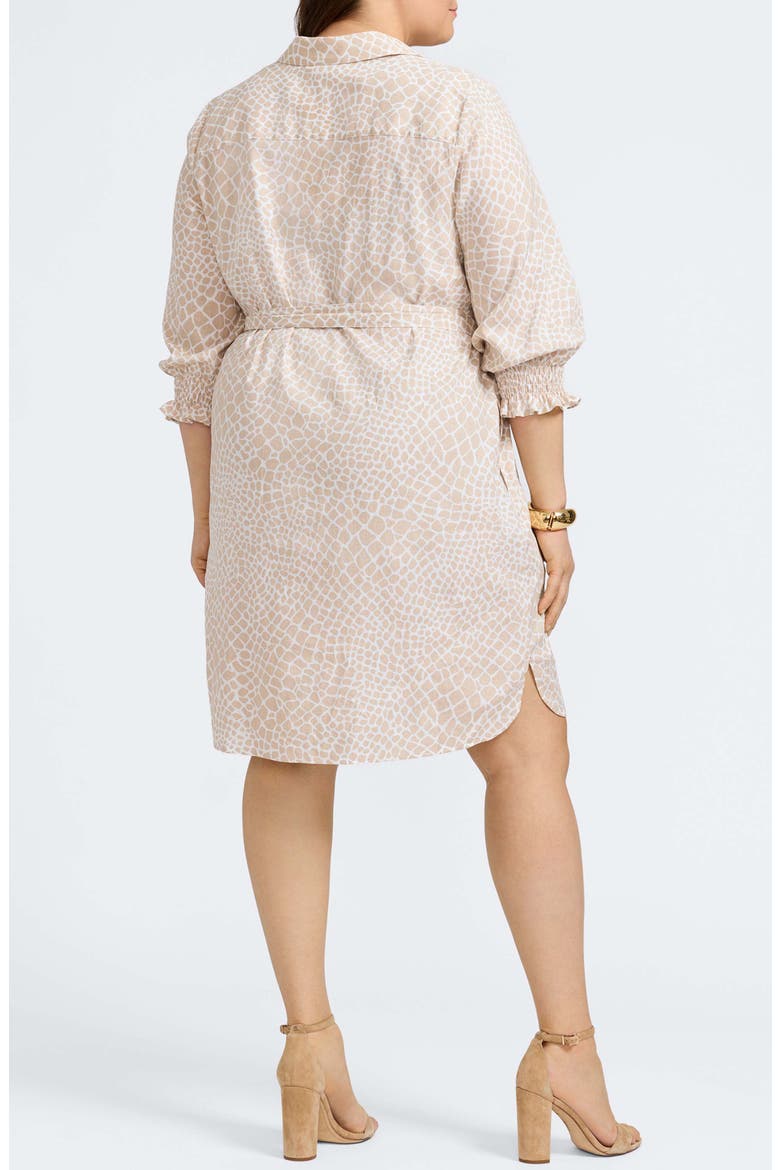 Abby Belted Linen Blend Shirtdress, Alternate, color, FLAX WHITE