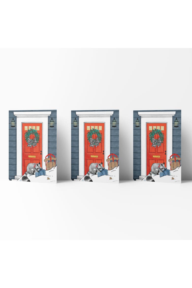 Winter/Holiday Greeting Card Pack Sets (3 ct) Raccoon's Gift, Main, color, Multi-Pack