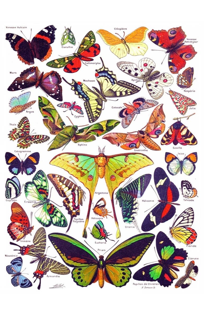 NEW YORK PUZZLE COMPANY Butterflies ~ Papillons 1000 Piece Puzzle, Alternate, color, NO COLOR