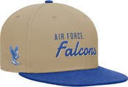 Nike Men's Nike Beige/Royal Air Force Falcons Pro Dri-FIT Snapback Hat