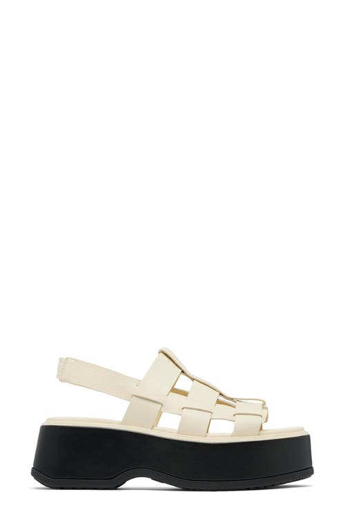 Sorel Dayspring Slingback Platform Sandal In Honey White/black