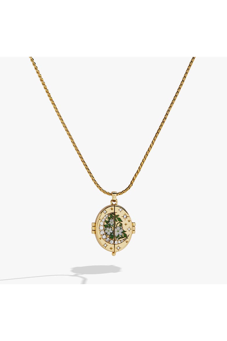 A Court of Thorns and Roses "There You Are" Locket Necklace, Main, color, Gold