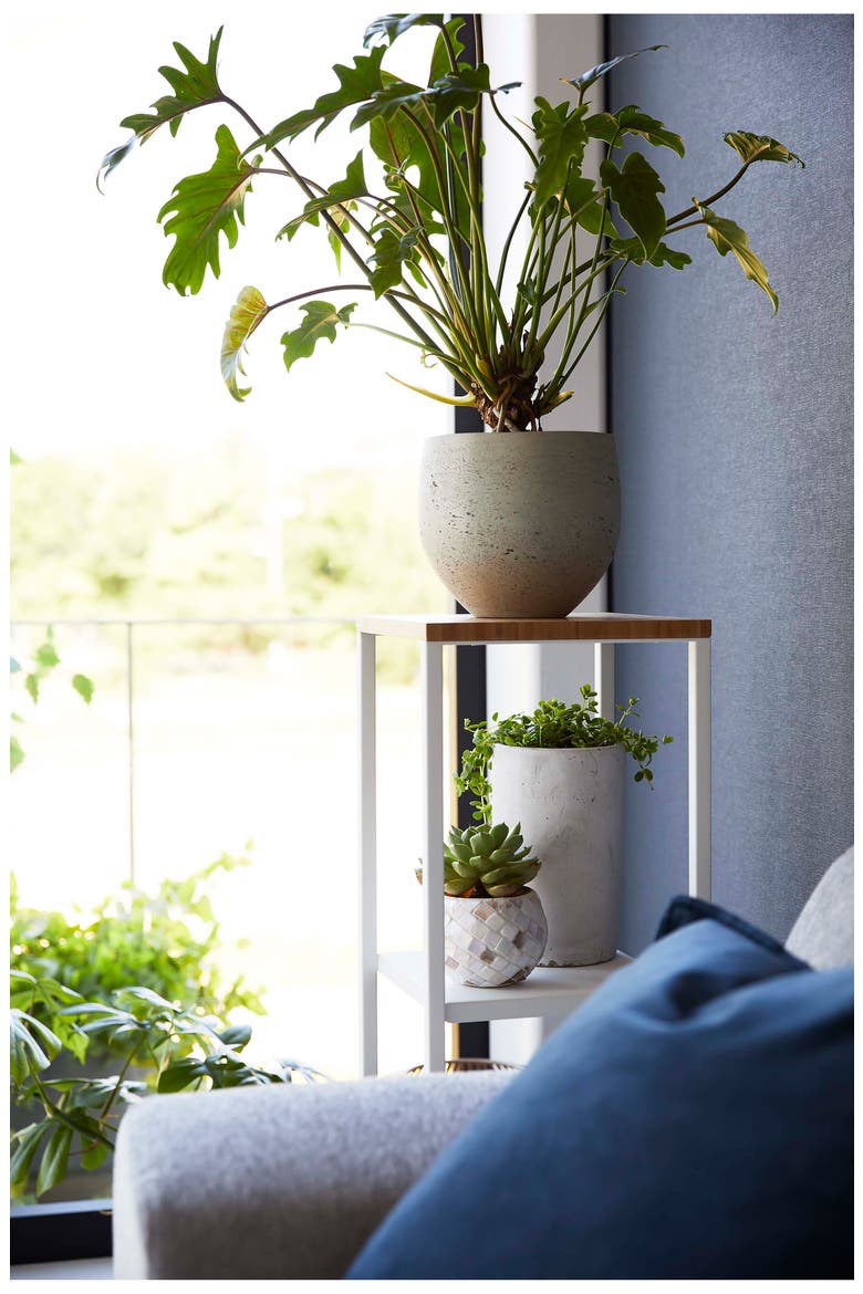 Two-Tier Display Shelf, Alternate, color, WHITE