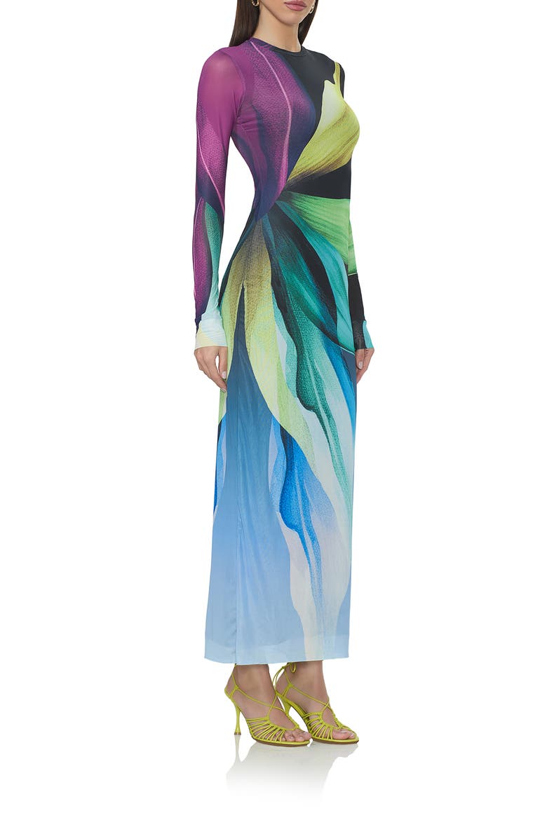 Didi Printed Long Sleeve Mesh Maxi Dress, Alternate, color, BLACK LOTUS